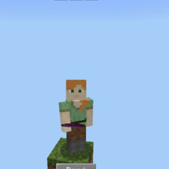 Zero Block Map for Minecraft PE