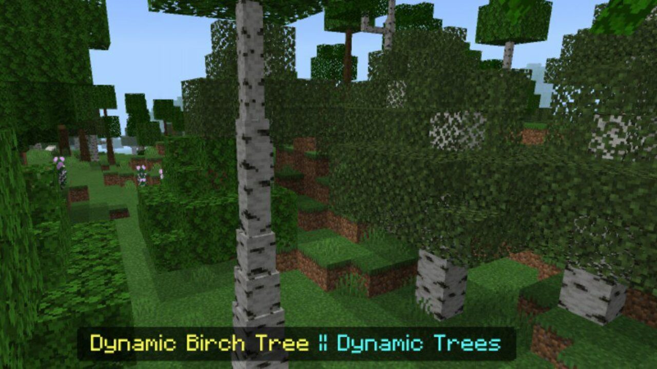 Birch from Dynamic Trees Mod for Minecraft PE