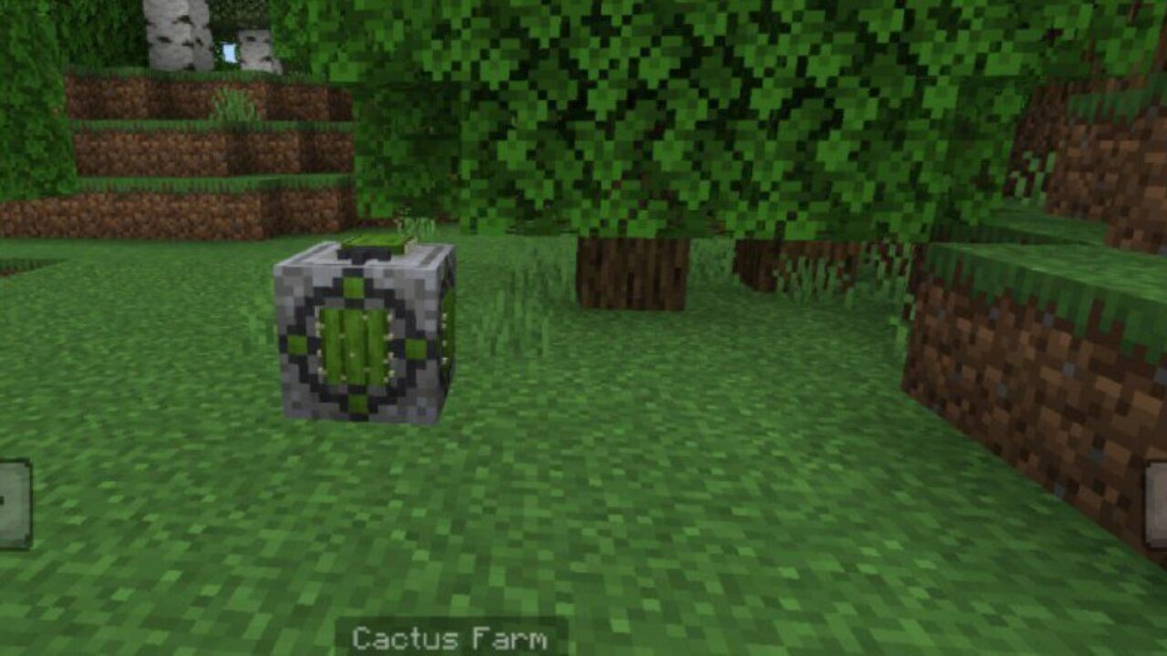 Cactus from Automatic Farm Mod for Minecraft PE