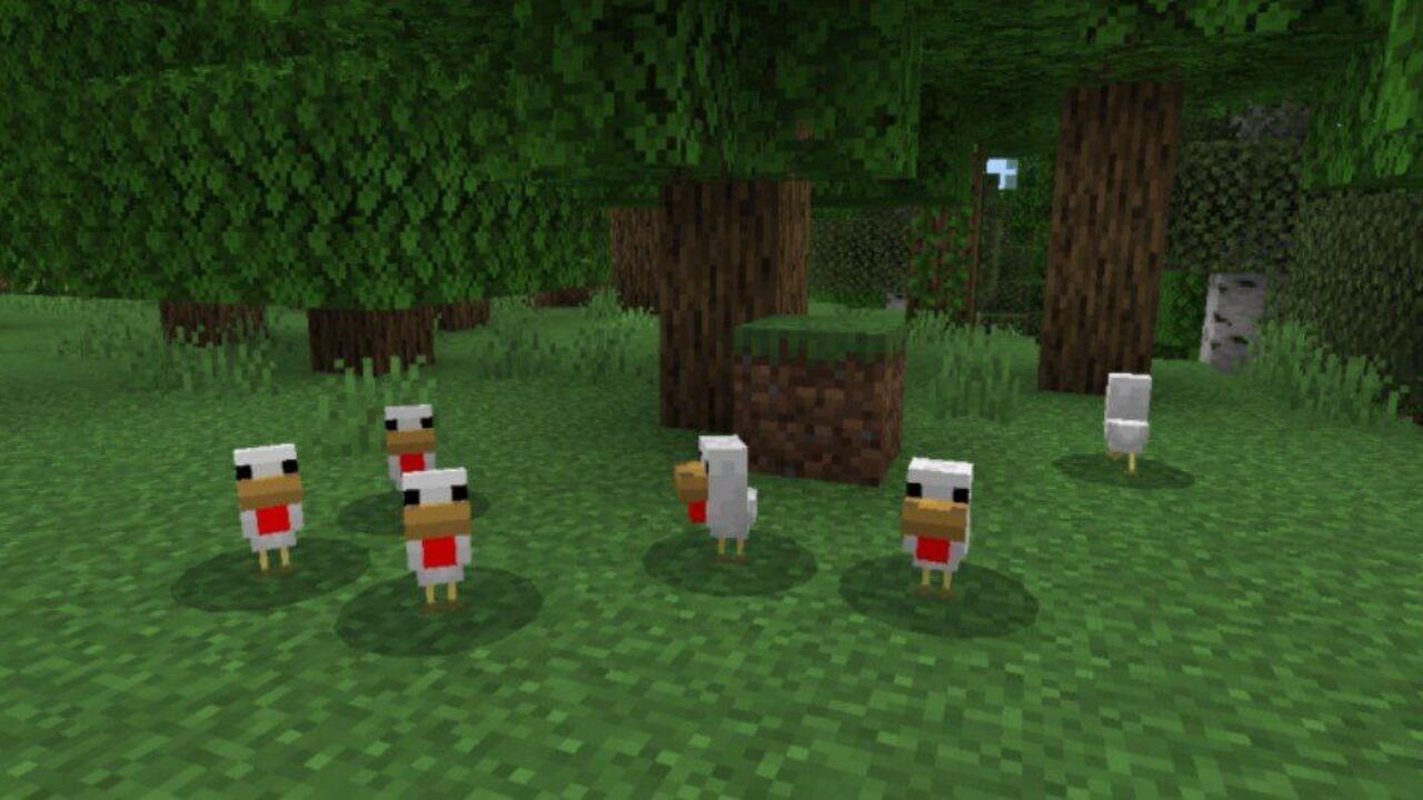 Chicken from Baby Mobs Texture Pack for Minecraft PE