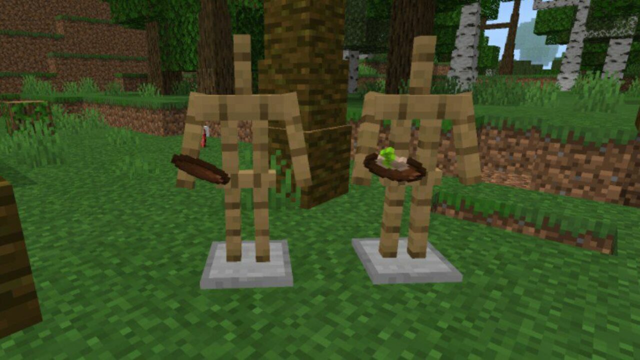 Coconut from Dynamic Trees Mod for Minecraft PE