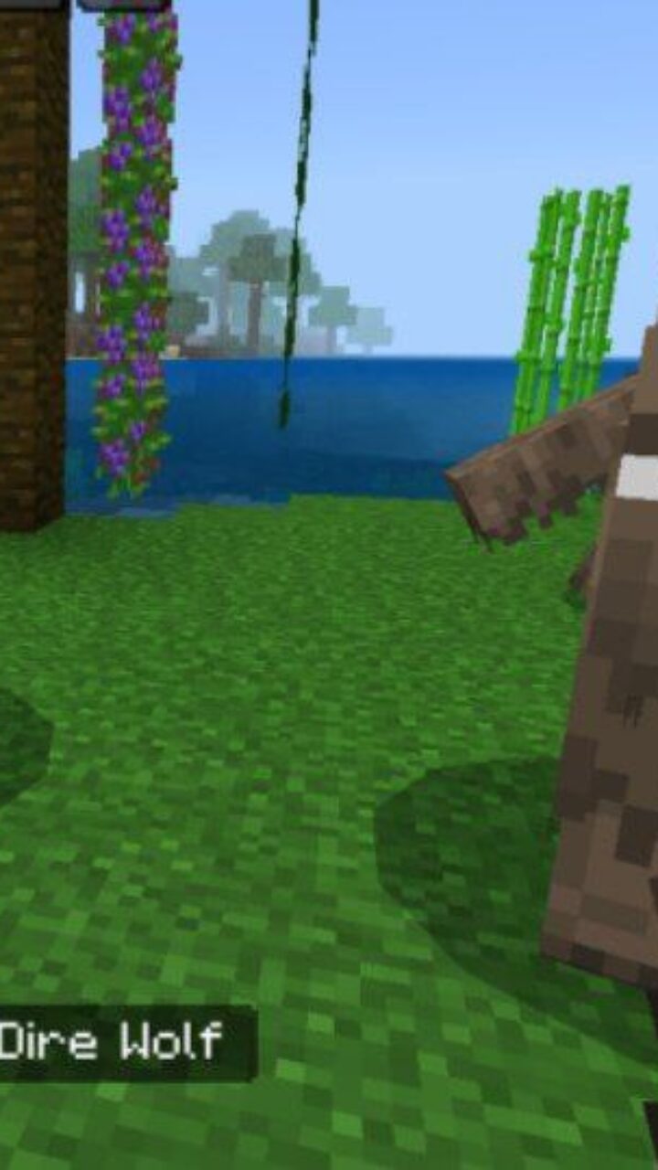 Dire Wolf from Magical Craft Map for Minecraft PE