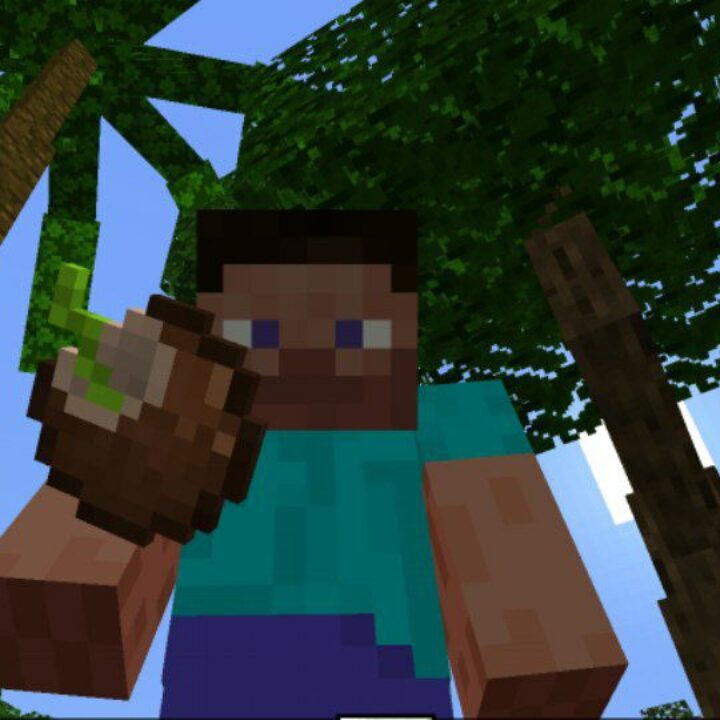 Dynamic Trees Mod for Minecraft PE