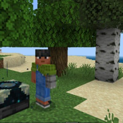 Hogs Enchants Mod for Minecraft PE