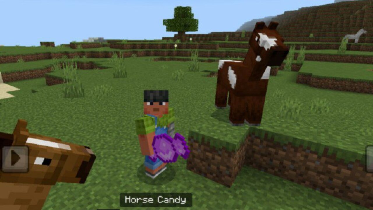 Horse Candy from Horse Sport Mod for Minecraft PE