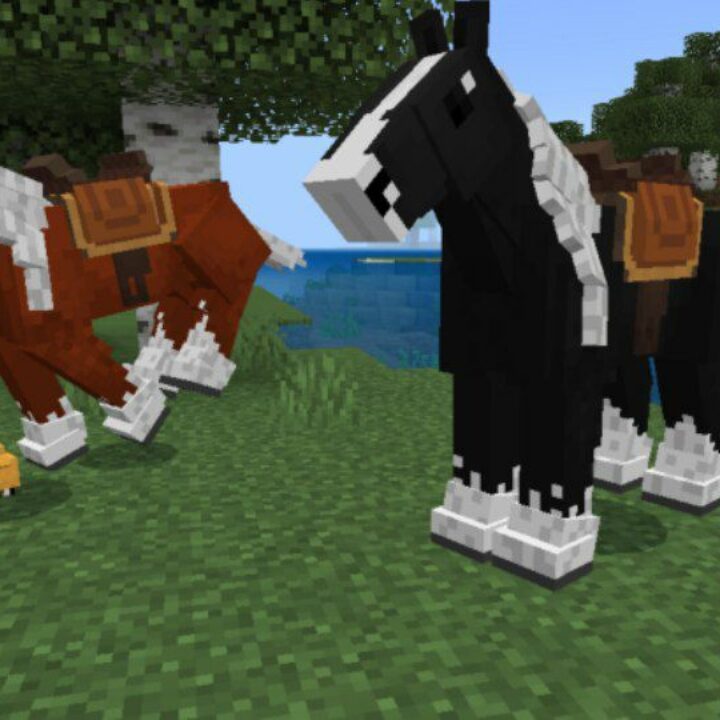 Horse Sport Mod for Minecraft PE