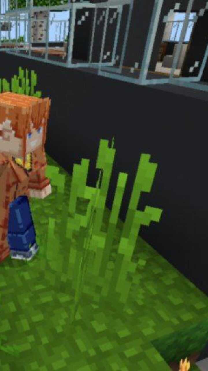 NPC from Solo Leveling Map for Minecraft PE