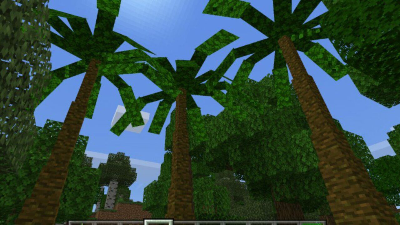 Palms from Dynamic Trees Mod for Minecraft PE