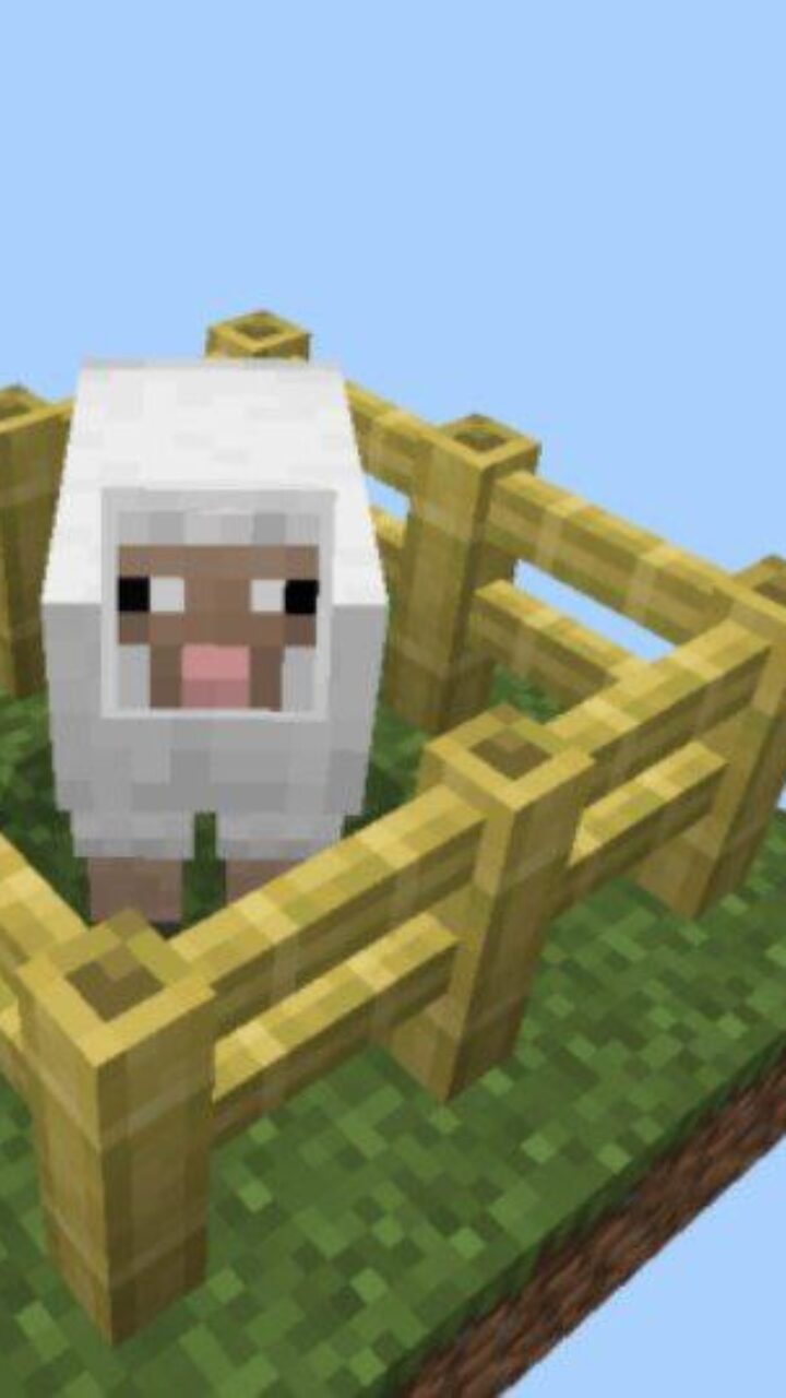 Protection from No Blocks Map for Minecraft PE