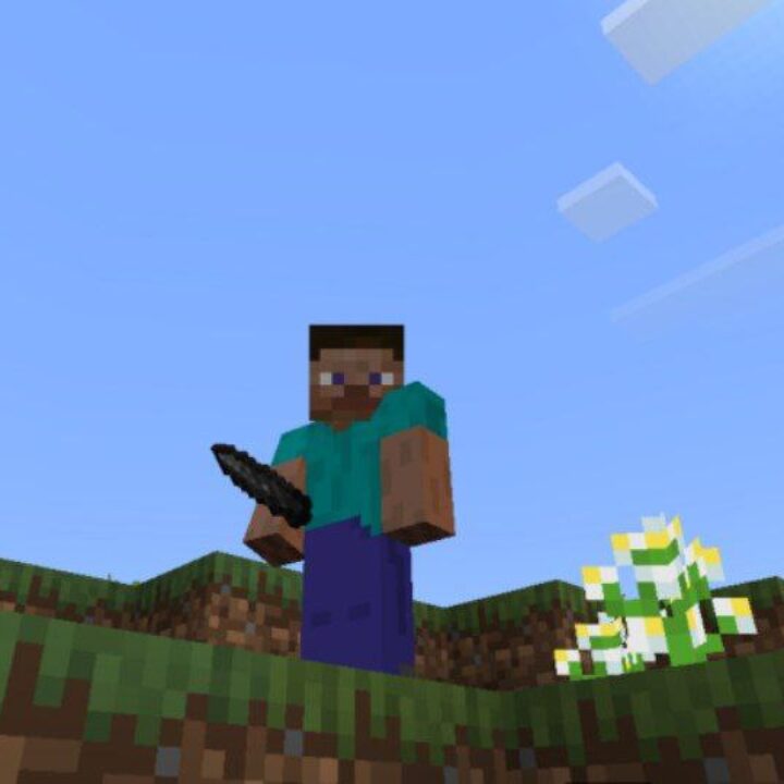 RND Mod for Minecraft PE