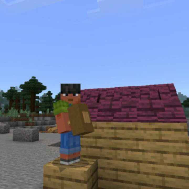 Roof Mod for Minecraft PE