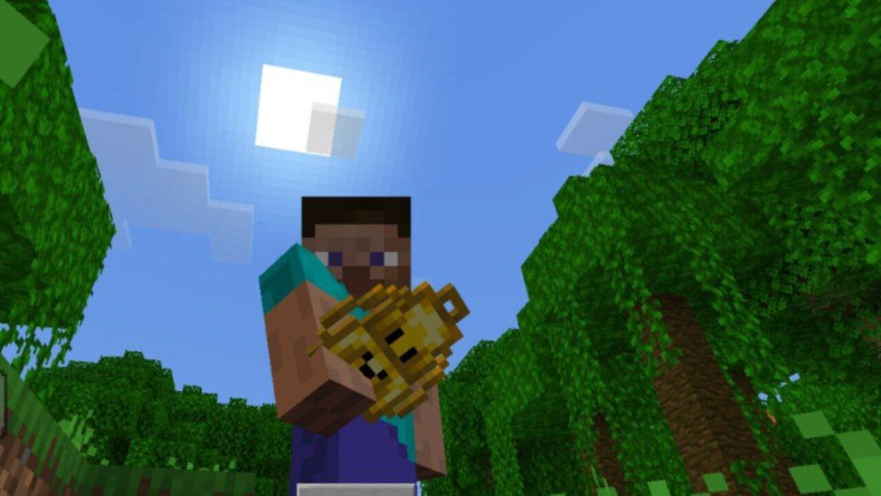 Smile from Multi Backpack Mod for Minecraft PE