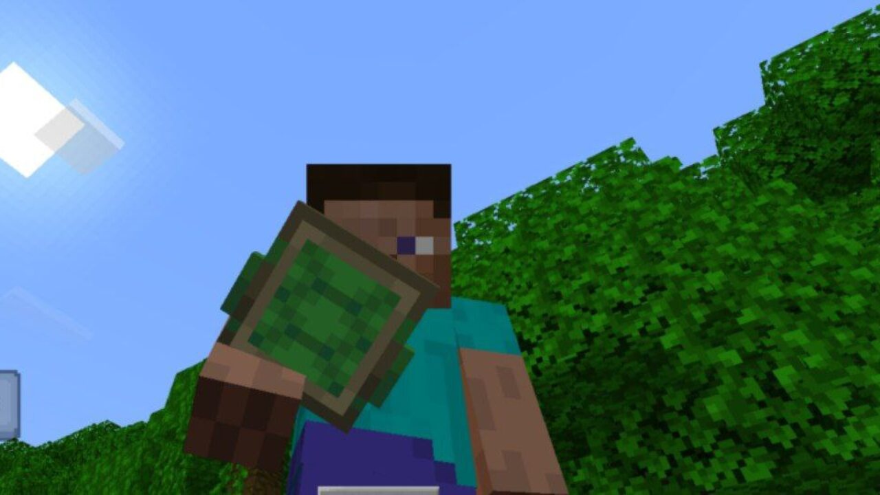 Turtle from Multi Backpack Mod for Minecraft PE