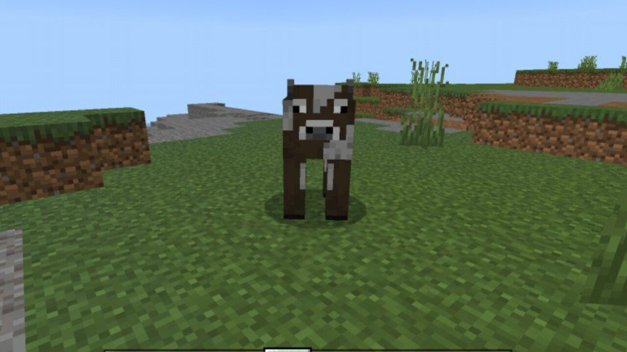 Cow from Player Teams Mod for Minecraft PE