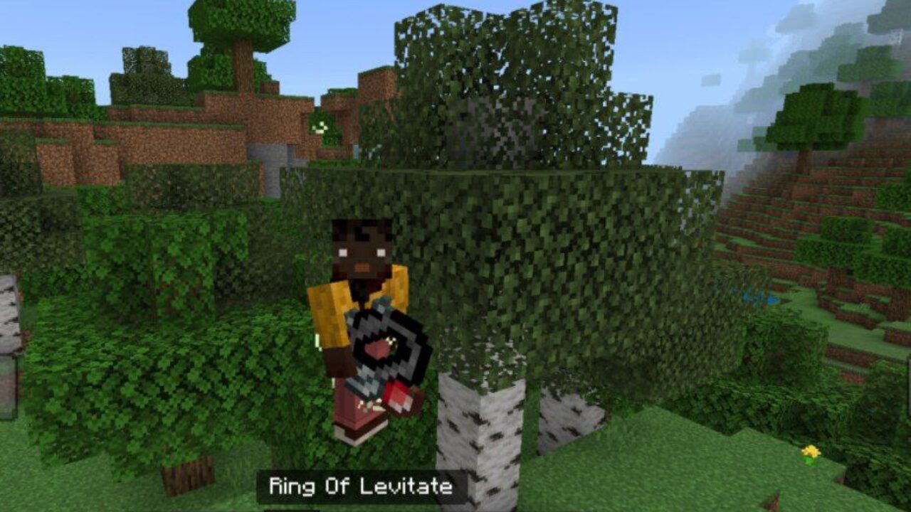 Levitate from Power Rings Mod for Minecraft PE