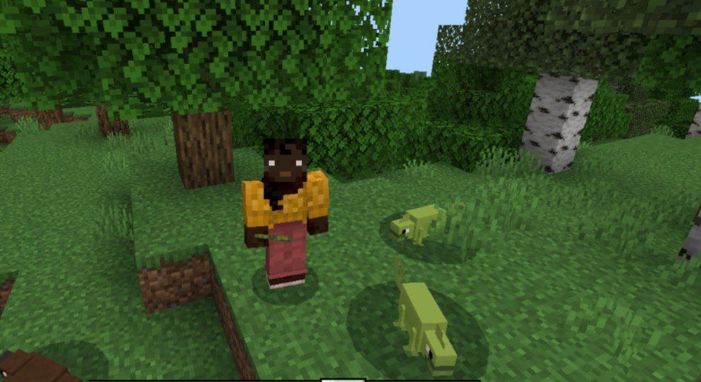 Download Tacos Critters Mod for Minecraft PE: Tacos Critters Mod for ...