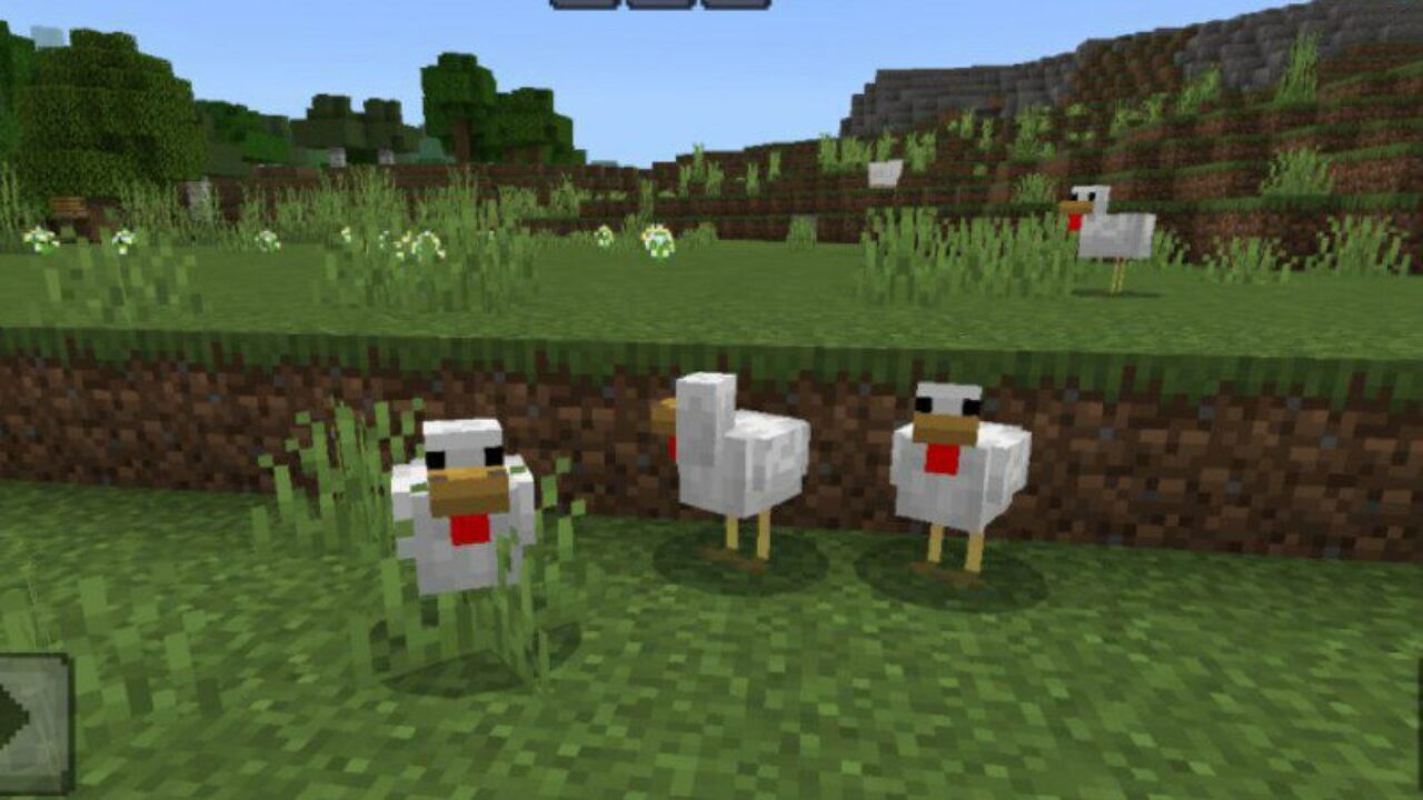 Chicken from Auto Inventory Mod for Minecraft PE