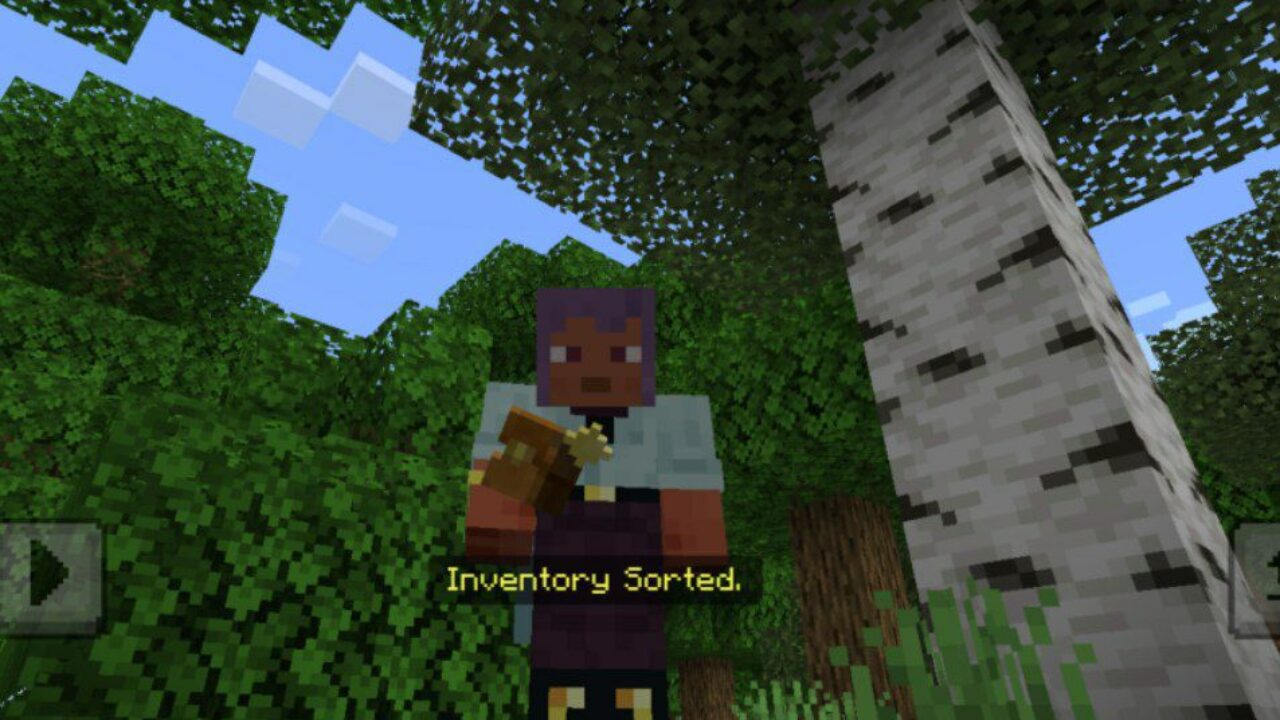 Finish from Inventory Sorter Mod for Minecraft PE