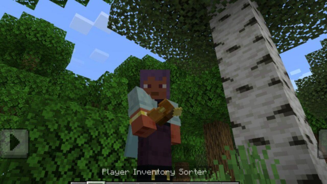 Inventory Sorter Mod for Minecraft PE