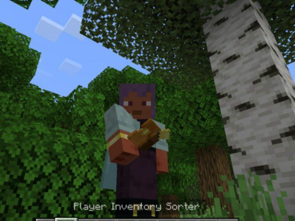 Inventory Sorter Mod for Minecraft PE