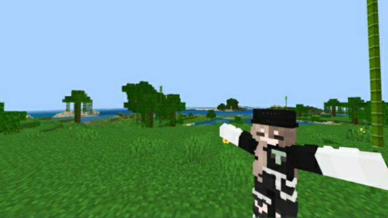 New Look from Superior 3D Player Texture Pack for Minecraft PE