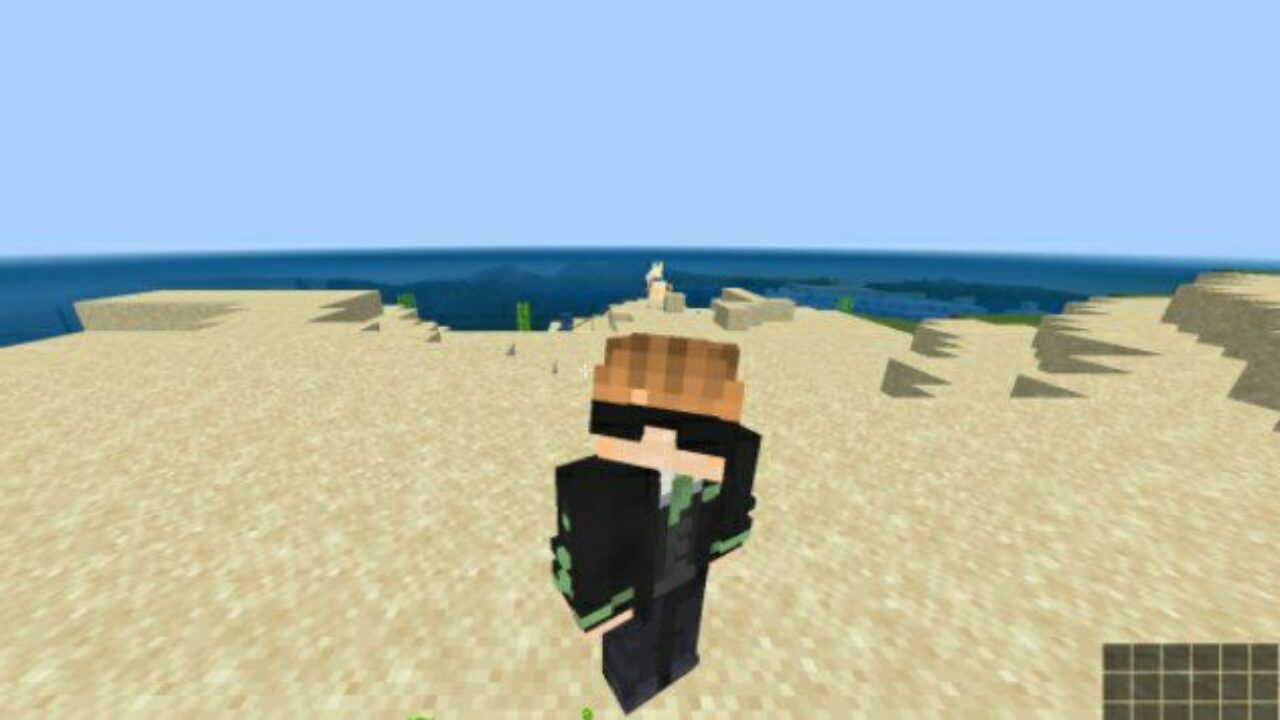 Skin from Superior 3D Player Texture Pack for Minecraft PE