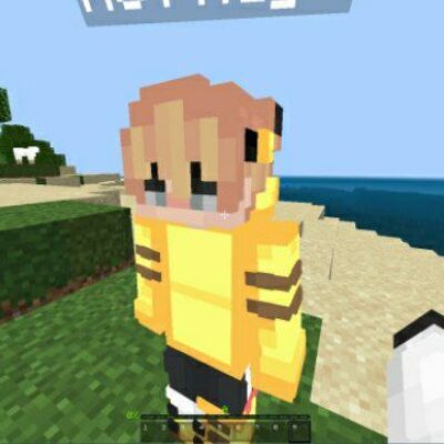 Superior 3D Player Texture Pack for Minecraft PE