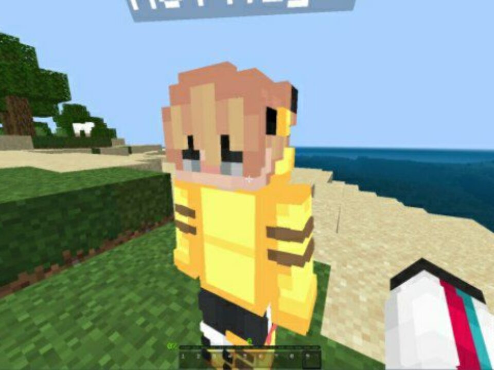 Superior 3D Player Texture Pack for Minecraft PE