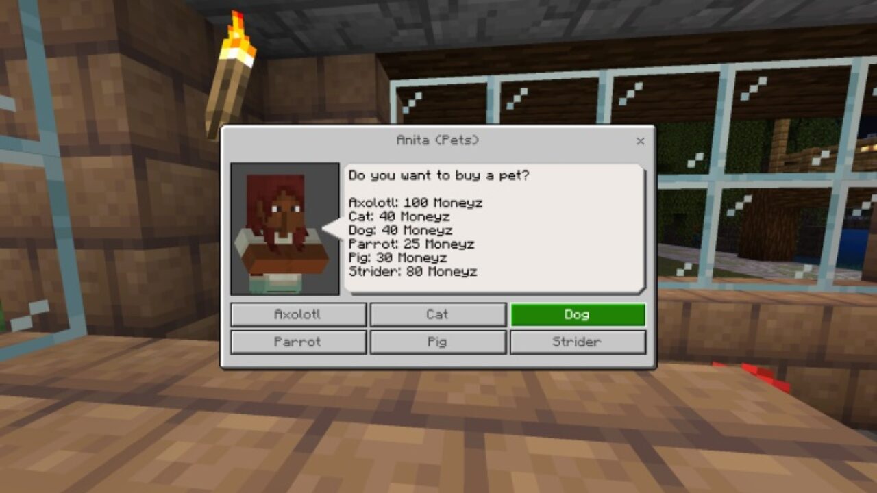 Options from MoneyZ Economy Mod for Minecraft PE