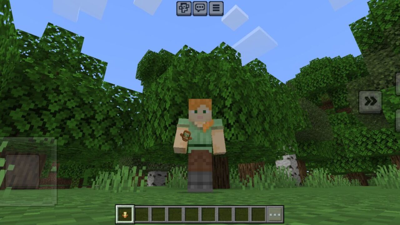 Check from Small Totem Texture Pack for Minecraft PE