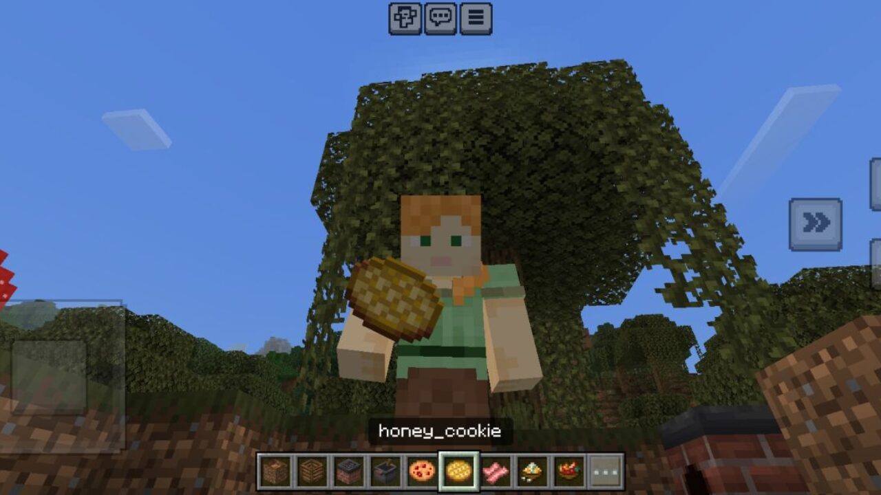 Cookie from Farmers Delight Mod for Minecraft PE