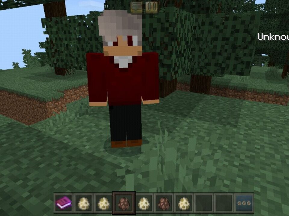 Dad Mod for Minecraft PE