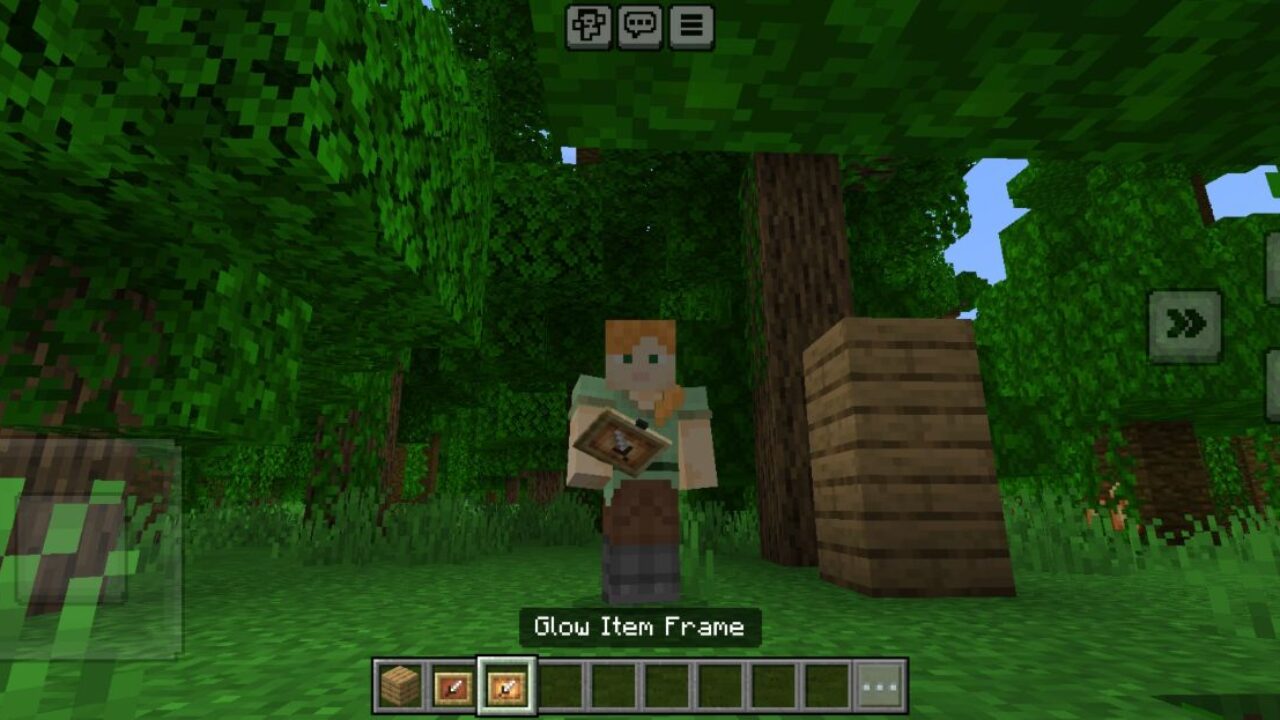 Easy Invisible Frames Texture Pack for Minecraft PE