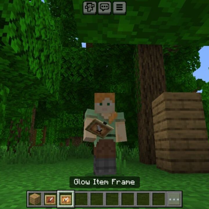 Easy Invisible Frames Texture Pack for Minecraft PE