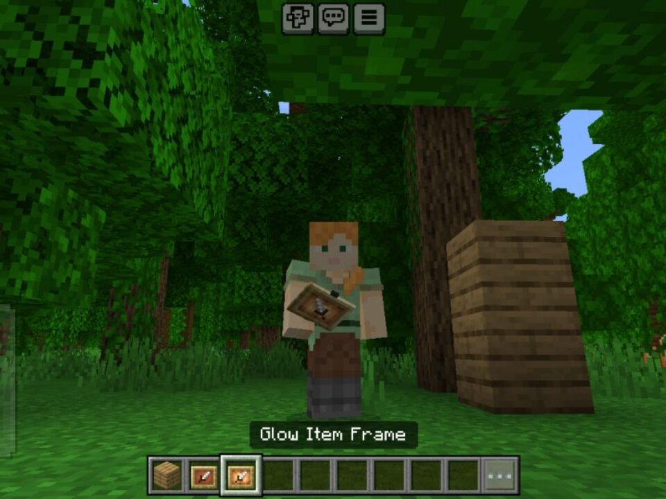 Easy Invisible Frames Texture Pack for Minecraft PE