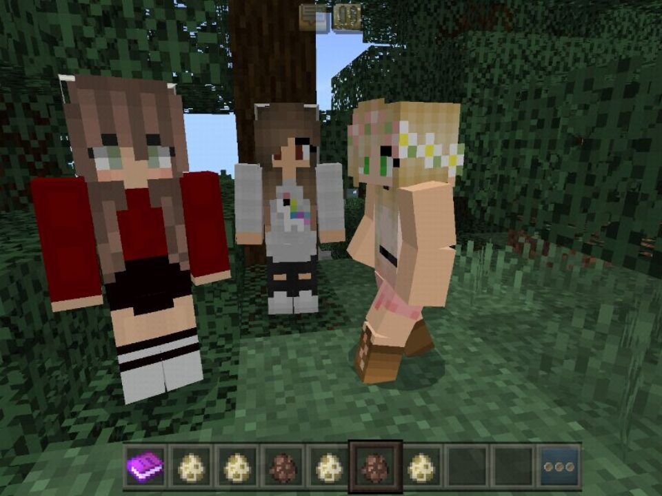 Mom Mod for Minecraft PE