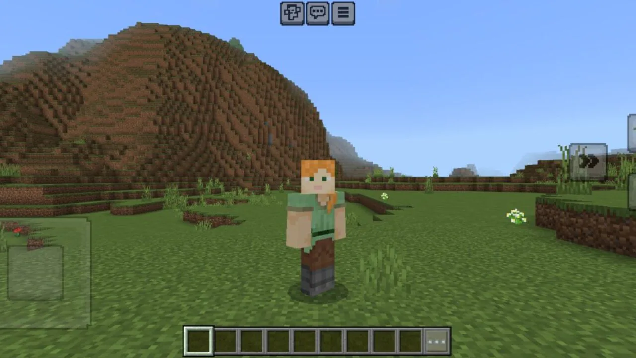 Preview Hider Texture Pack for Minecraft PE