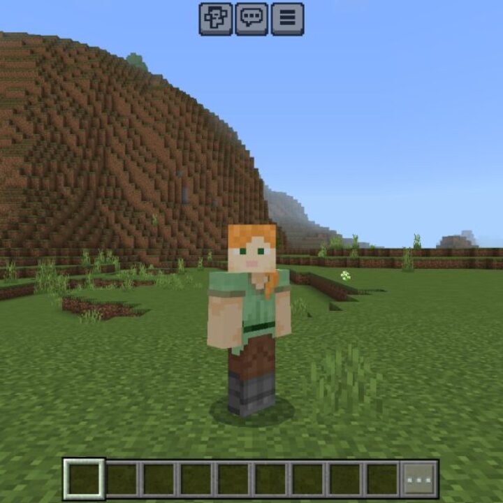 Preview Hider Texture Pack for Minecraft PE