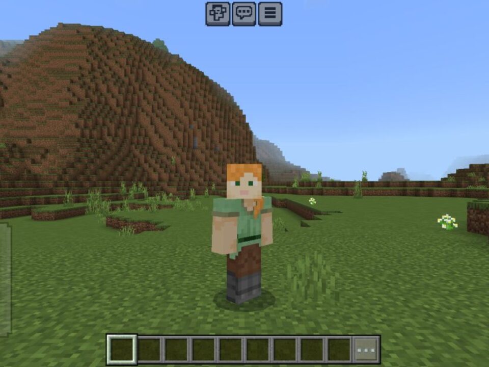 Preview Hider Texture Pack for Minecraft PE