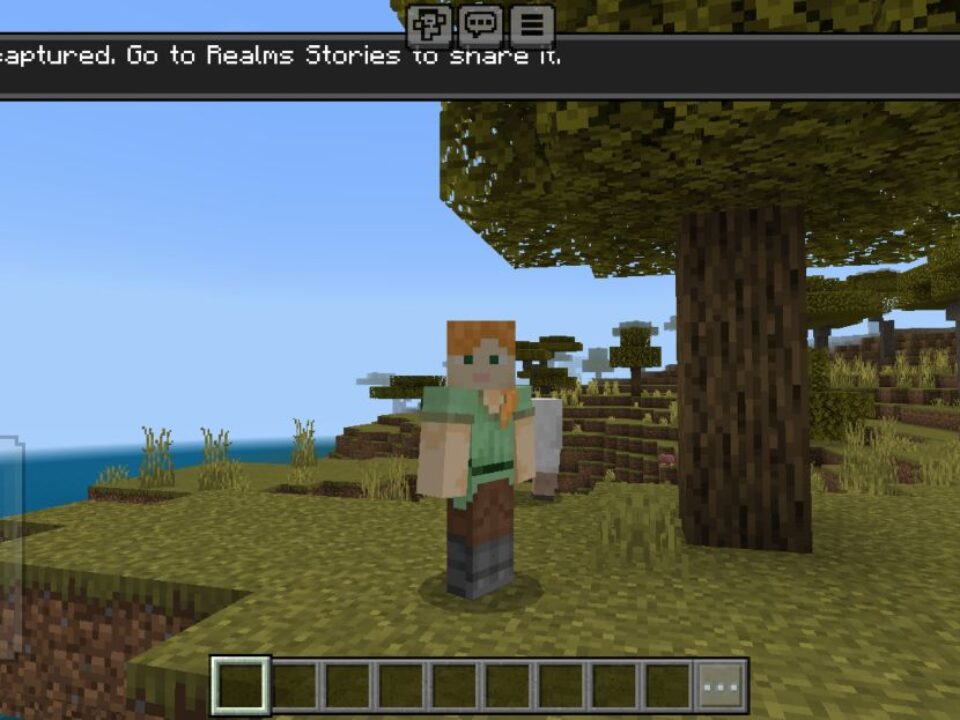 Screenshot Taker Texture Pack for Minecraft PE