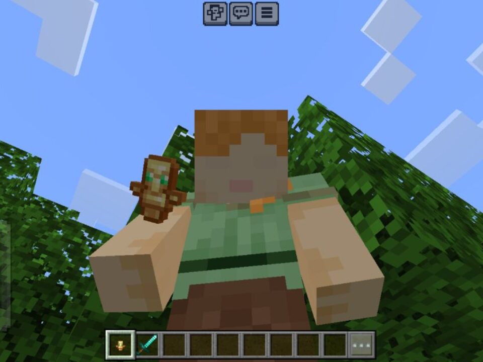 Small Totem Texture Pack for Minecraft PE