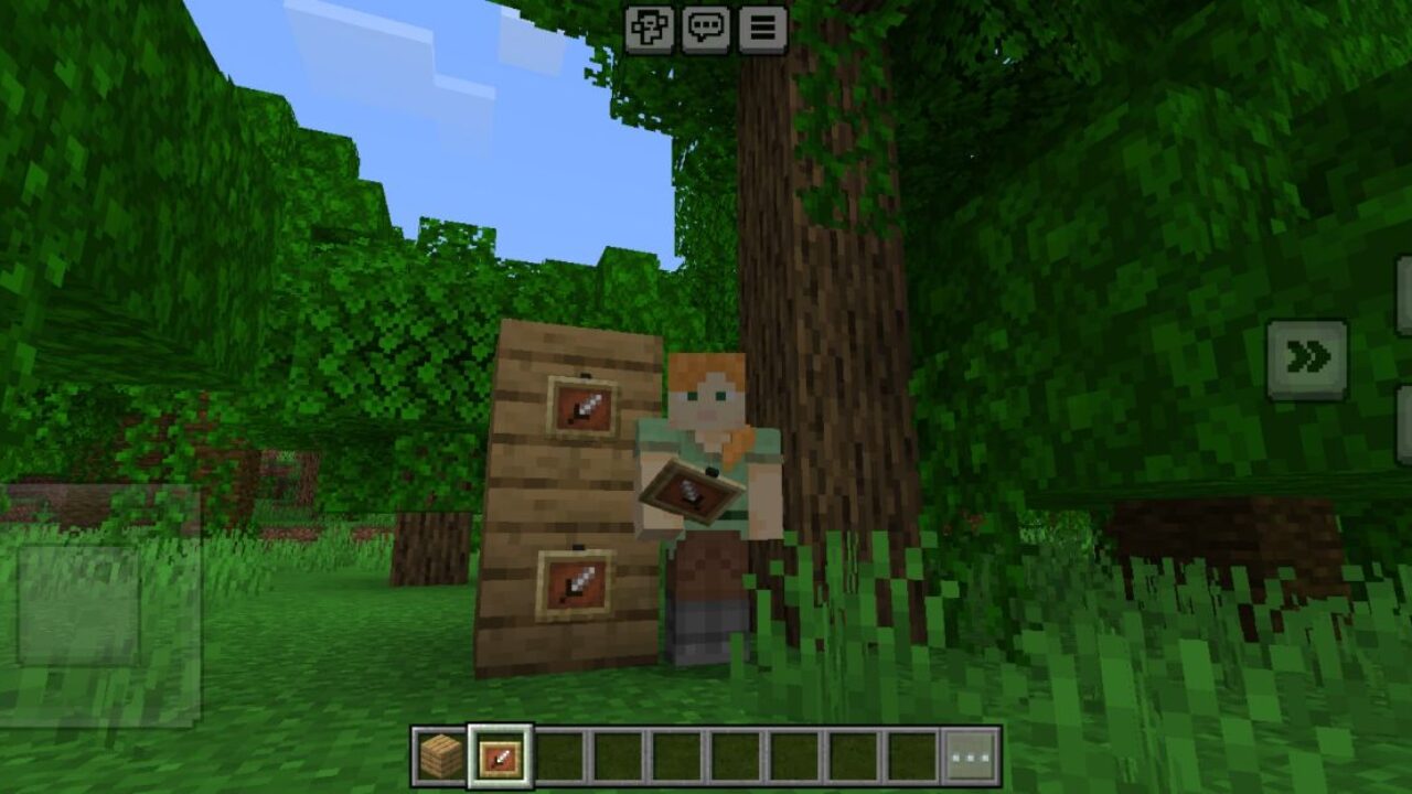 Variants from Easy Invisible Frames Texture Pack for Minecraft PE