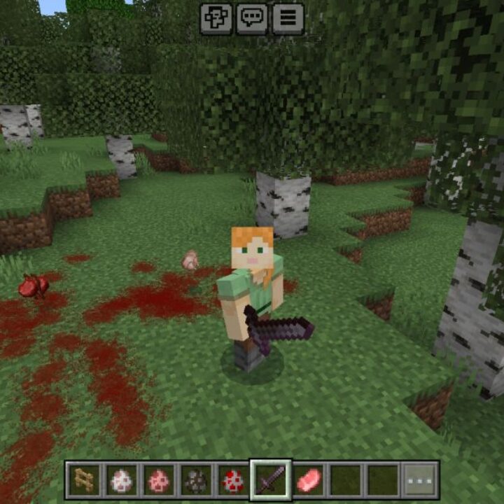 Visuality Mod for Minecraft PE