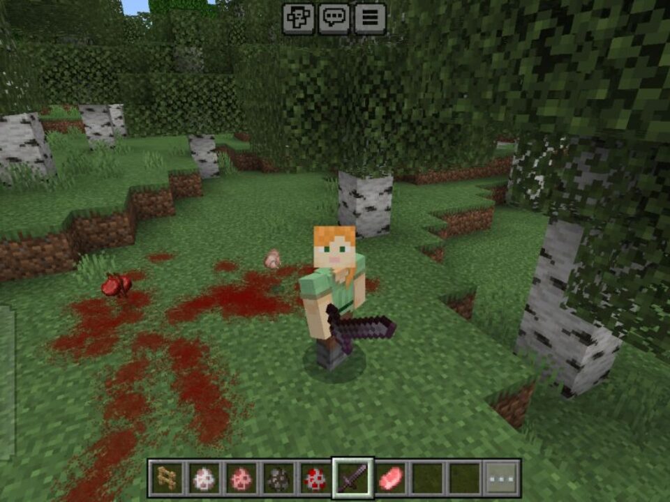 Visuality Mod for Minecraft PE