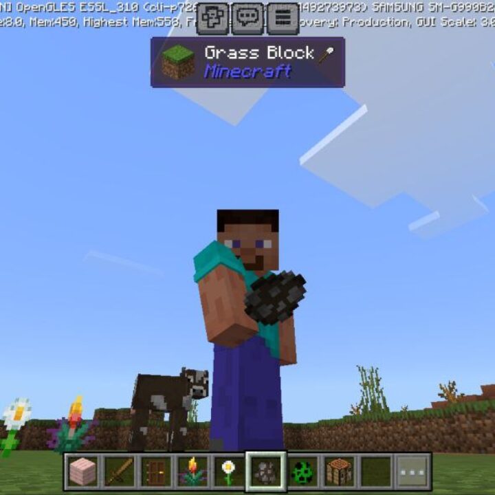 WAILA Mod for Minecraft PE