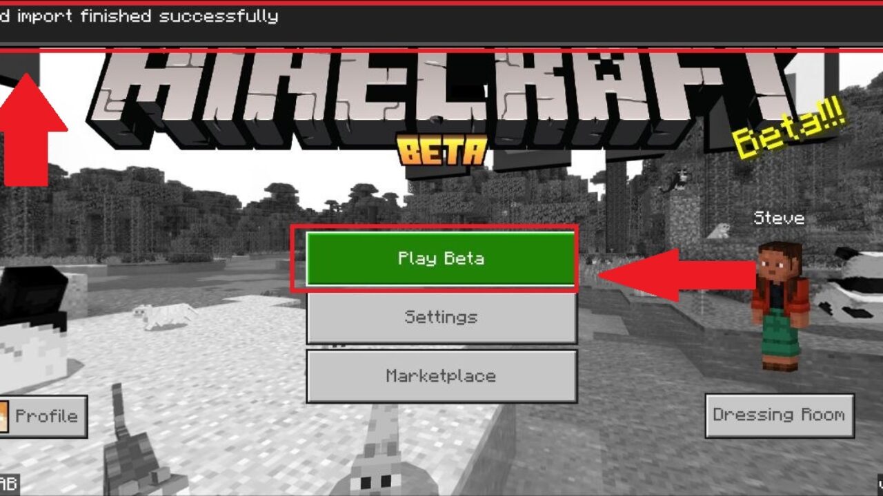 Step 5 from Maps for Minecraft PE