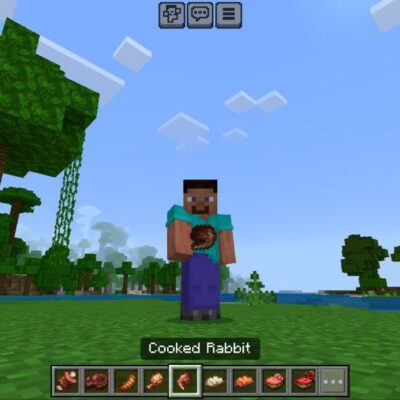 Crops and Meat Mod for Minecraft PE