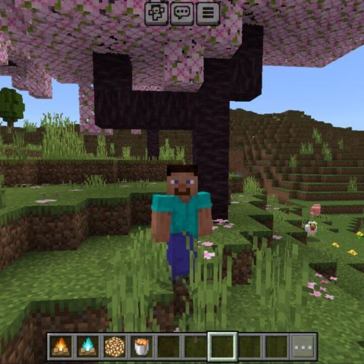 FPS UP Texture Pack for Minecraft PE