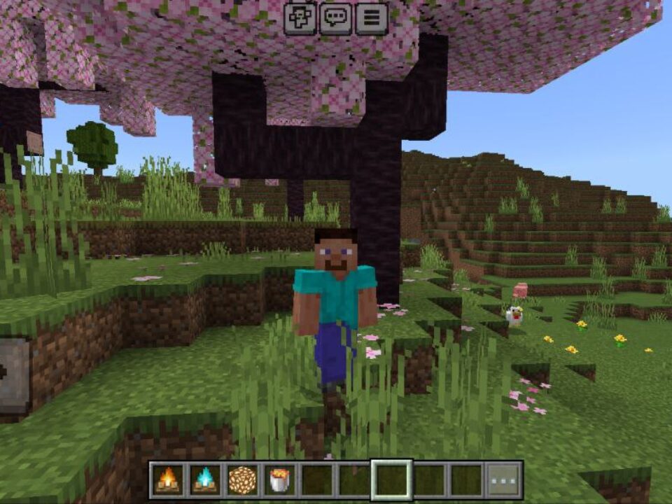 FPS UP Texture Pack for Minecraft PE