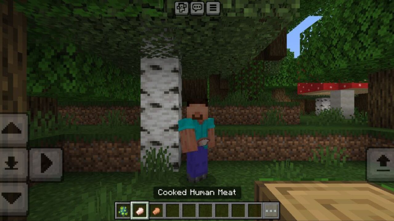 Human from Cannibal Mod for Minecraft PE